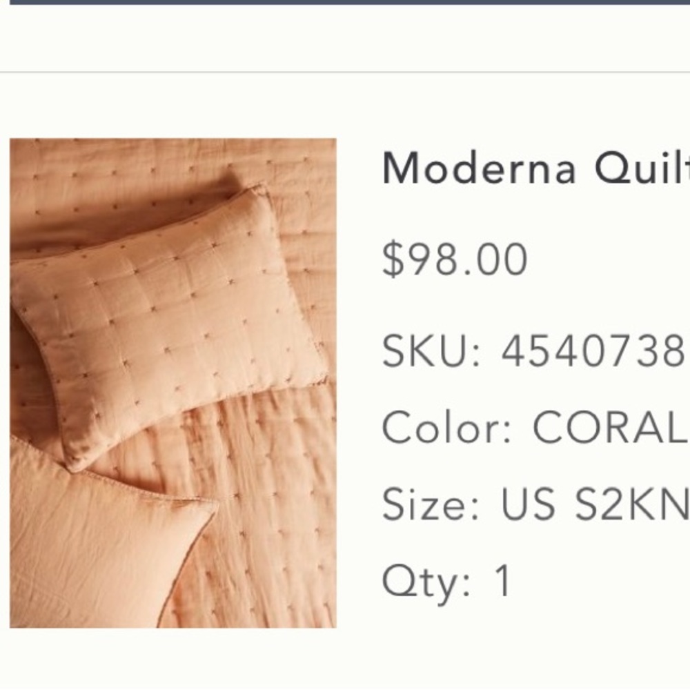 Anthropologie King Sham Set